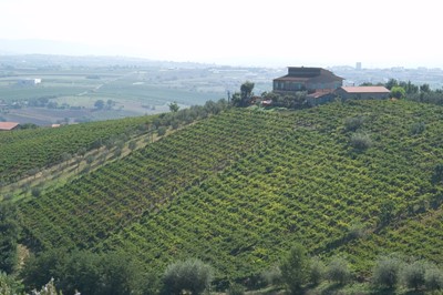 In viaggio nel Sannio con Gambero Rosso