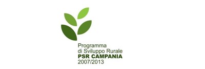 Programma di Sviluppo Rurale (P.S.R.) Campania 2007/2013 - Disposizioni finali