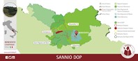 Mappe e percorsi dei vini - Sannio DOP