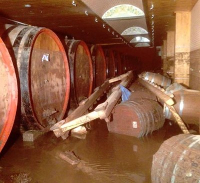 Appello urgente di aiuto per i vitivinicoltori della provincia di Benevento