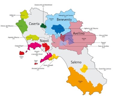 La Carta dei Vini in Campania