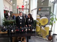 Sannio DOP Wine Day  17 marzo 2014 - SANNIO WINE DAY NAPOLI 17 MARZO 2013