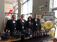 Sannio DOP Wine Day  17 marzo 2014 - SANNIO WINE DAY NAPOLI 17 MARZO 2013