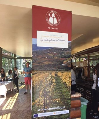 Masterclass Falanghina del Sannio Dop in San Francisco