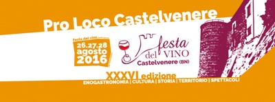 Focus Barbera del Sannio alla Festa del Vino di Castelvenere