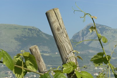 ELENCO REGIONALE MENZIONI 