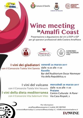 Wine meeting in Amalfi Coast