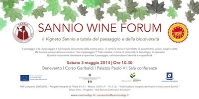 Sannio Wine Forum